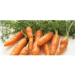 GRUPA ROLNIK POLSKI SP. Z O.O.